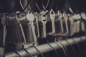 Lake Lanier Locksmith - Lanier Lock Dawgs